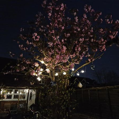 Lotus Pod House Homestay Horsell Dış mekan fotoğraf