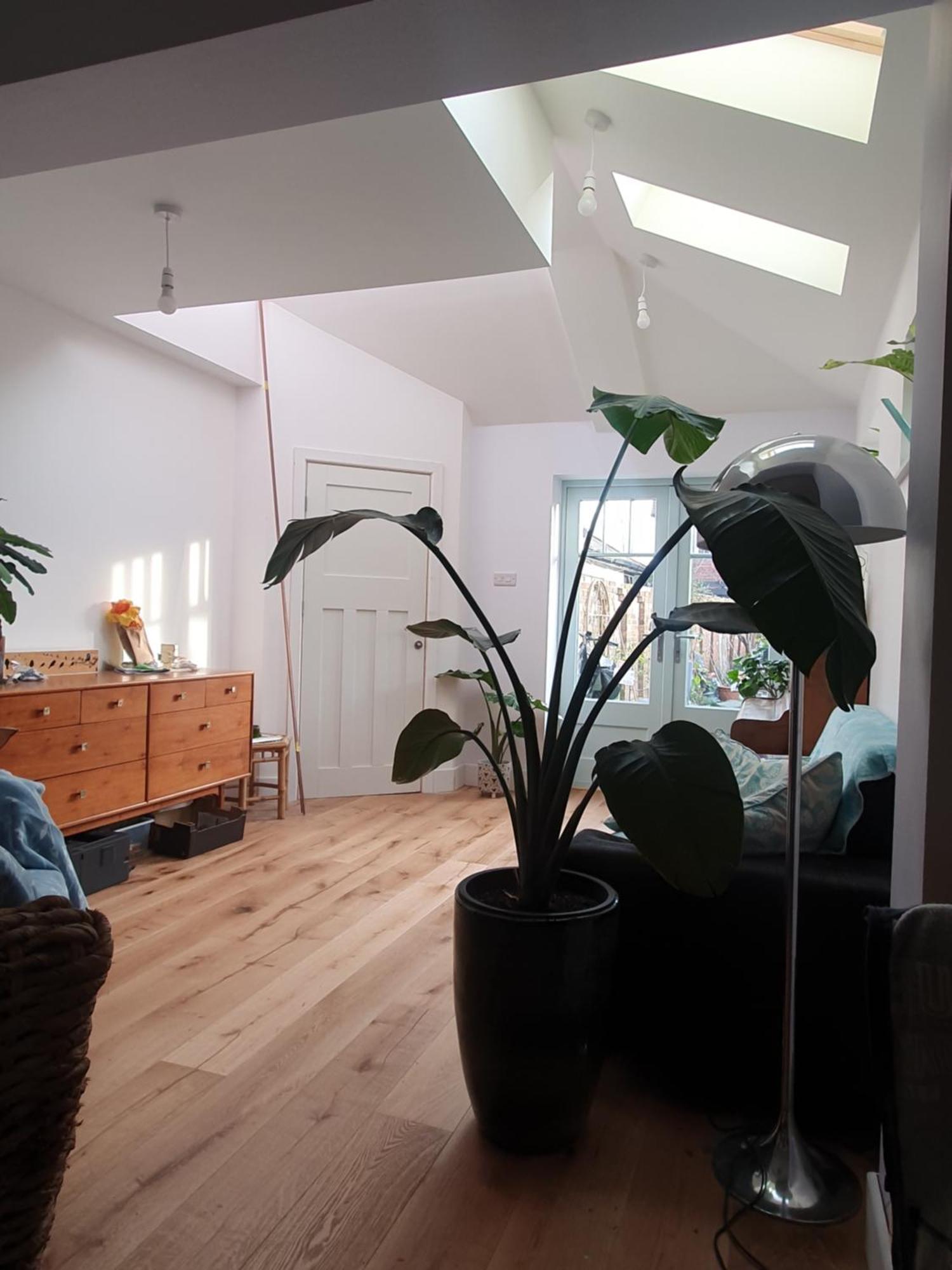 Lotus Pod House Homestay Horsell Dış mekan fotoğraf