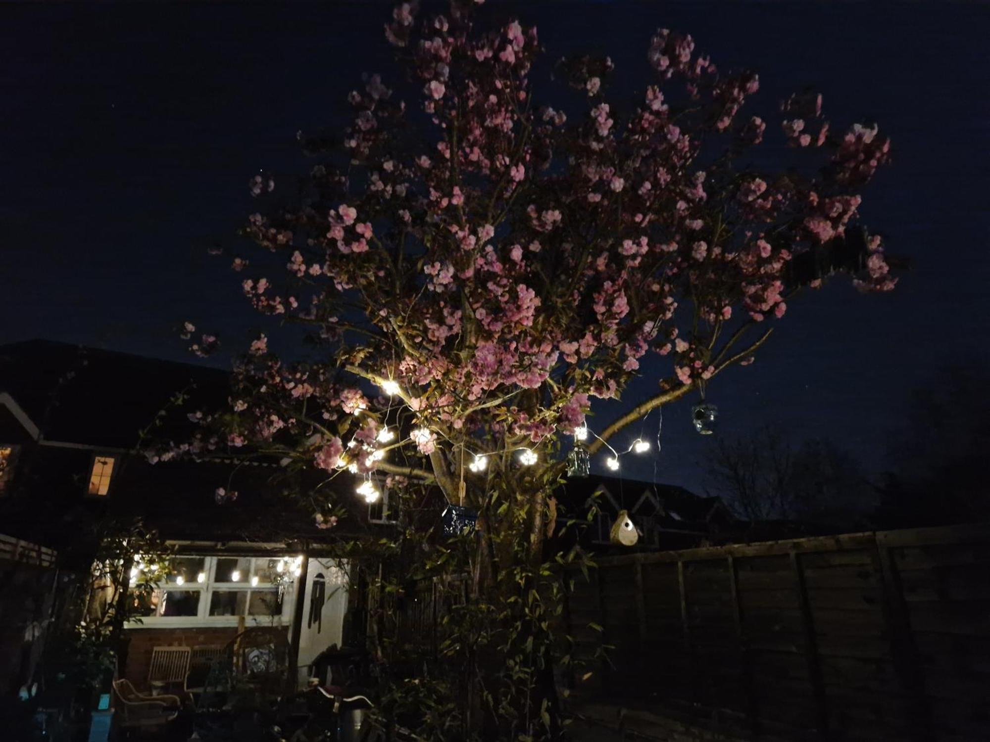 Lotus Pod House Homestay Horsell Dış mekan fotoğraf