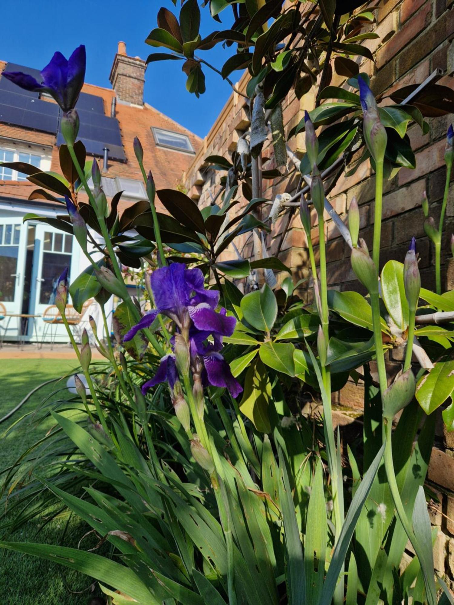 Lotus Pod House Homestay Horsell Dış mekan fotoğraf